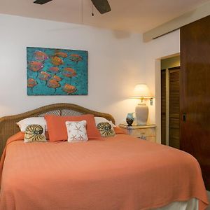 Harbor View Lower Suite